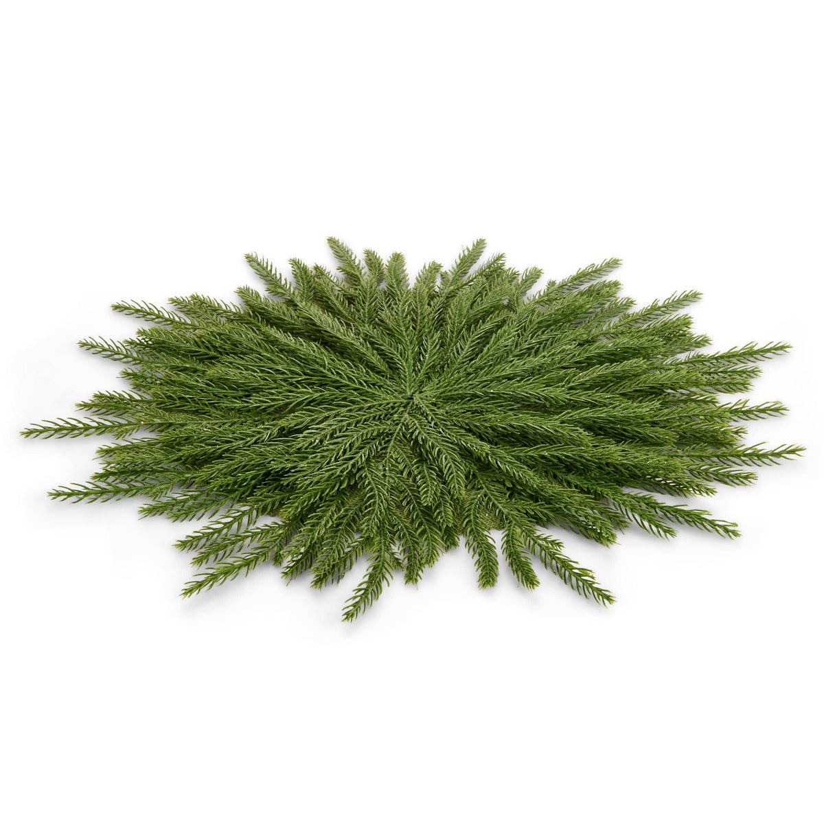 Round flat cedar branch placemat with radiating evergreen sprigs, top-down view