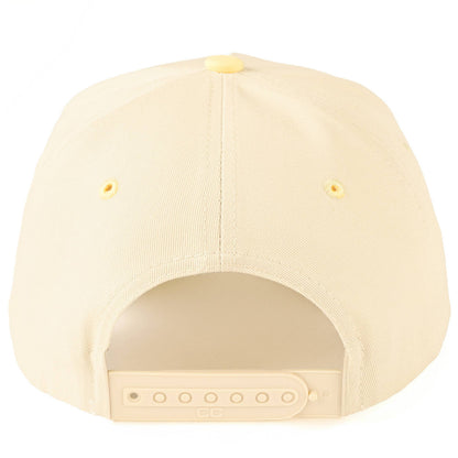 Pretty please trucker Hat