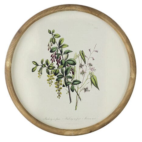 Assorted Flora Print with Round Frame