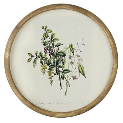 Assorted Flora Print with Round Frame