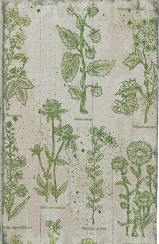 Decorative Book Boxes with Rustic Green Floral Patterns - 2 Sizes/Styles