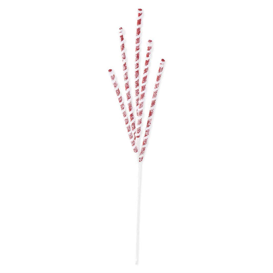25 Inch Glittered Red & White Flocked Spiral Spike Spray