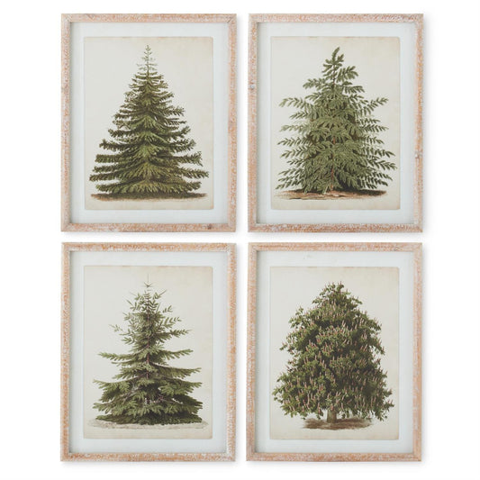 Assorted 19.75 Natural Carved Wood Framed Pine Tree Prints (4 Styles)
