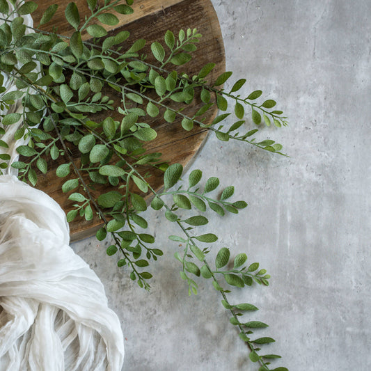 31" DUSTY RUSCUS LEAF HANGING VINE
