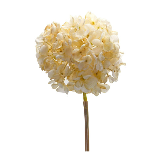 Single artificial hydrangea stem with a large round cream-colored bloom head, isolated on white