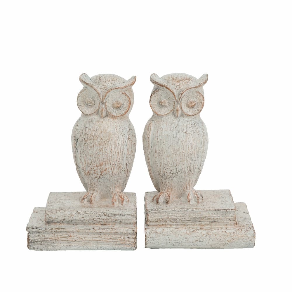 4.5x4x7.5" Realistic Brown Polyresin Owl Bookend