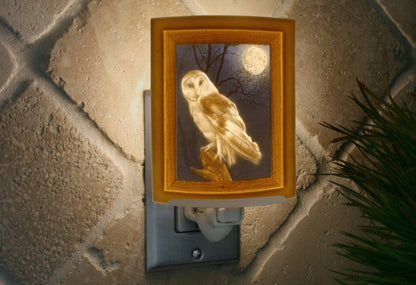 Owl Porcelain Lithophane Colored Night Light