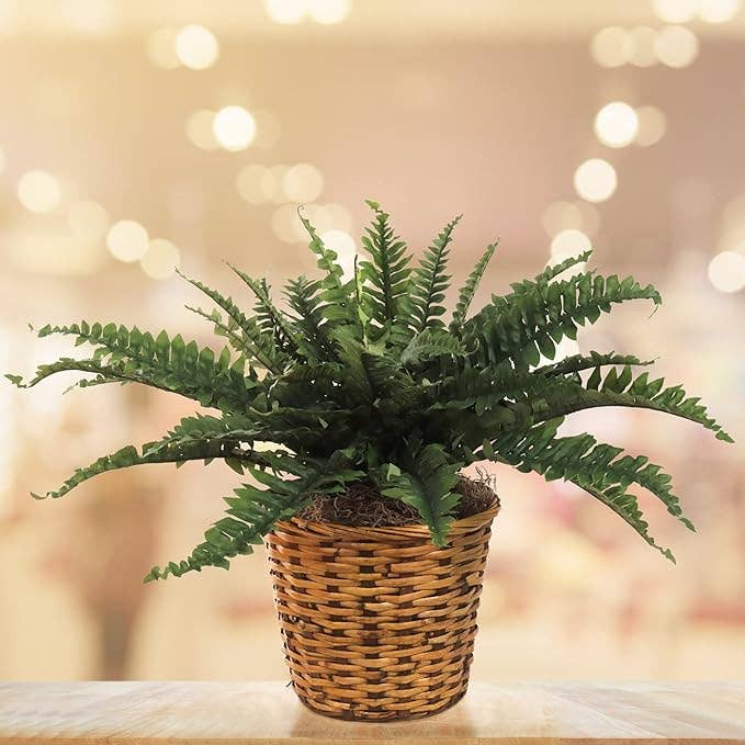 Boston Fern Artificial Plant UV Resistant Indoor/Outdoor 33