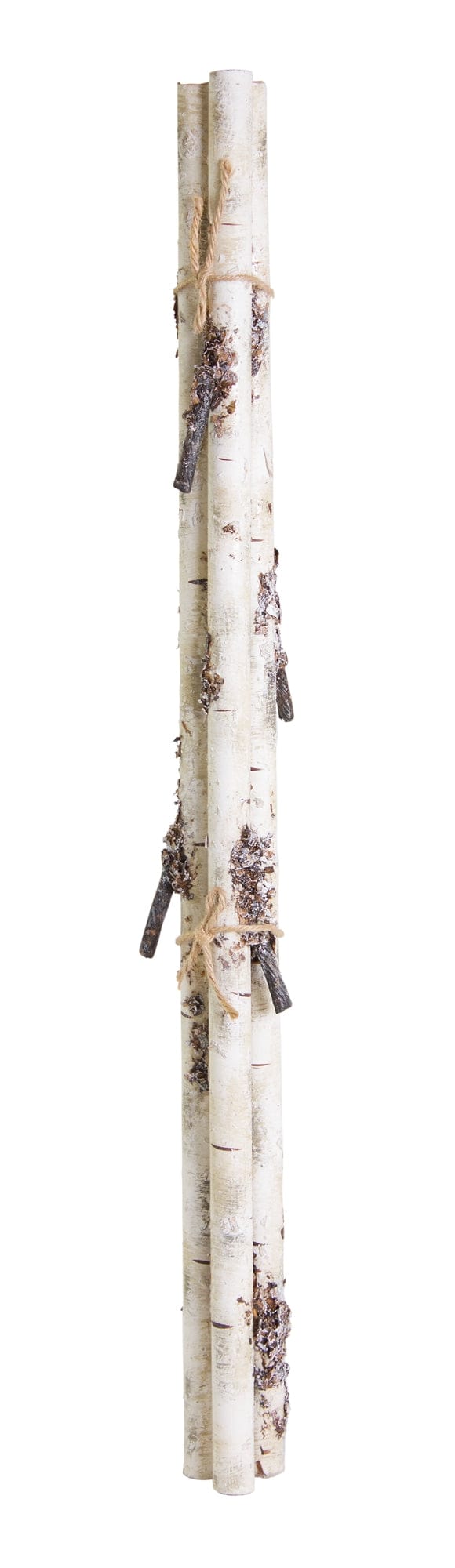 Bundle of white birch branches tied together with twine, featuring natural bark texture