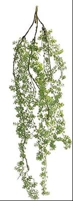 Hanging Mini Leaf Vine