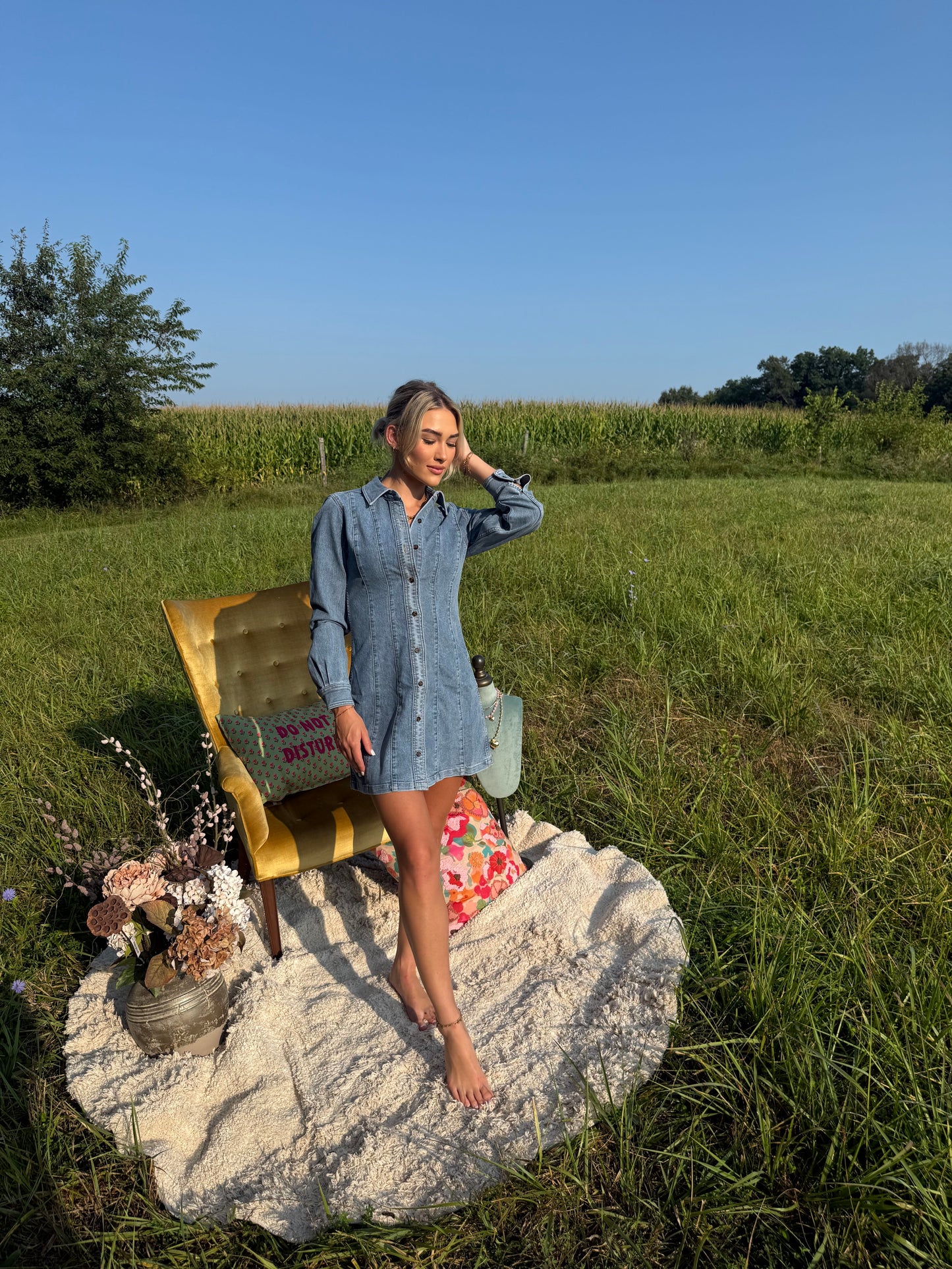 Light wash denim button-front mini dress with long sleeves and seam detailing.