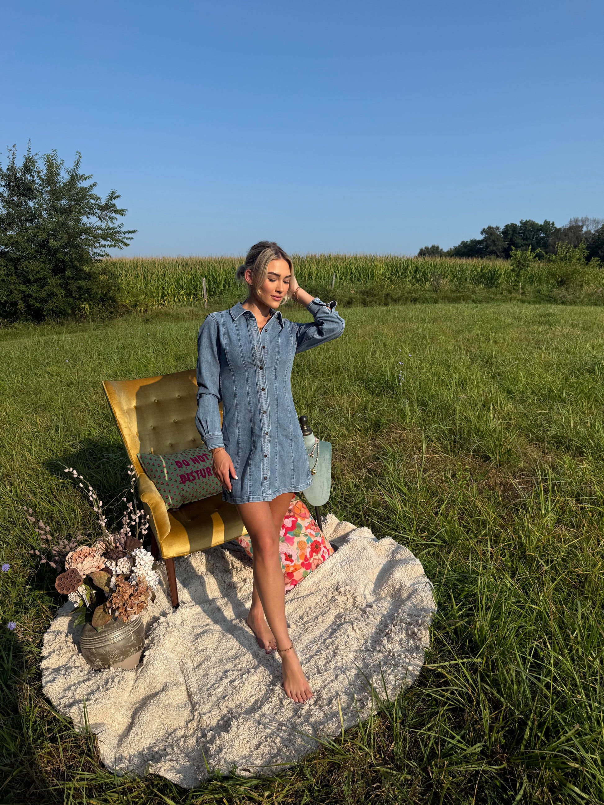 Light wash denim button-front mini dress with long sleeves and seam detailing.