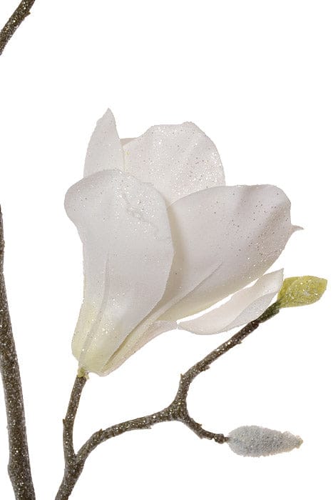 Frosted white magnolia bloom with glitter on a glittered branch with buds