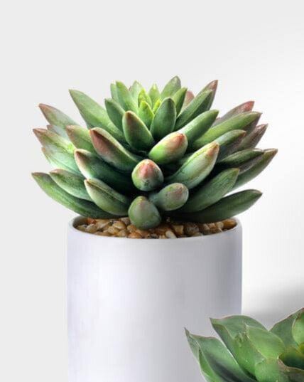 Faux Potted Succulents - 4 Types