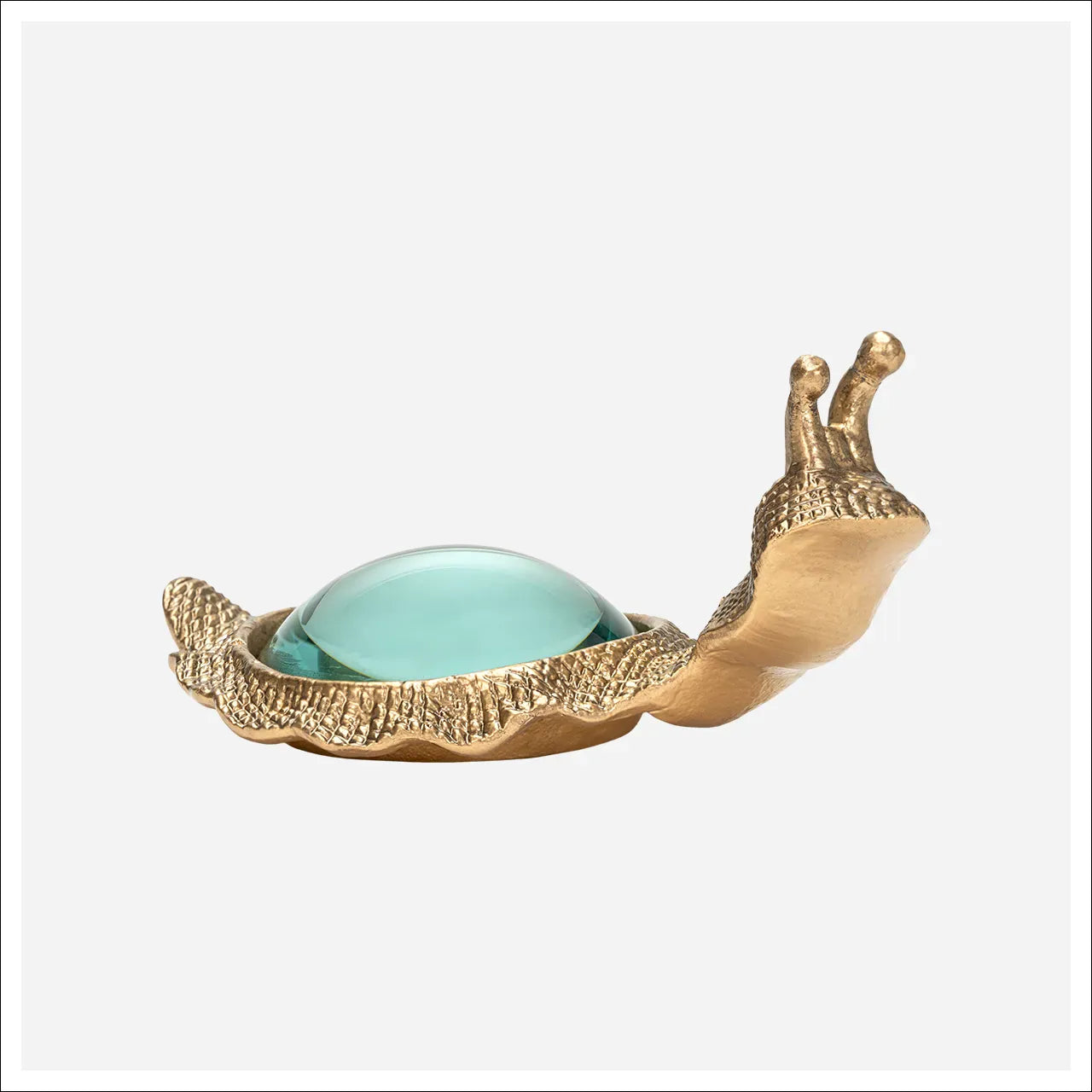 Kasden Snail Magnifying Glass