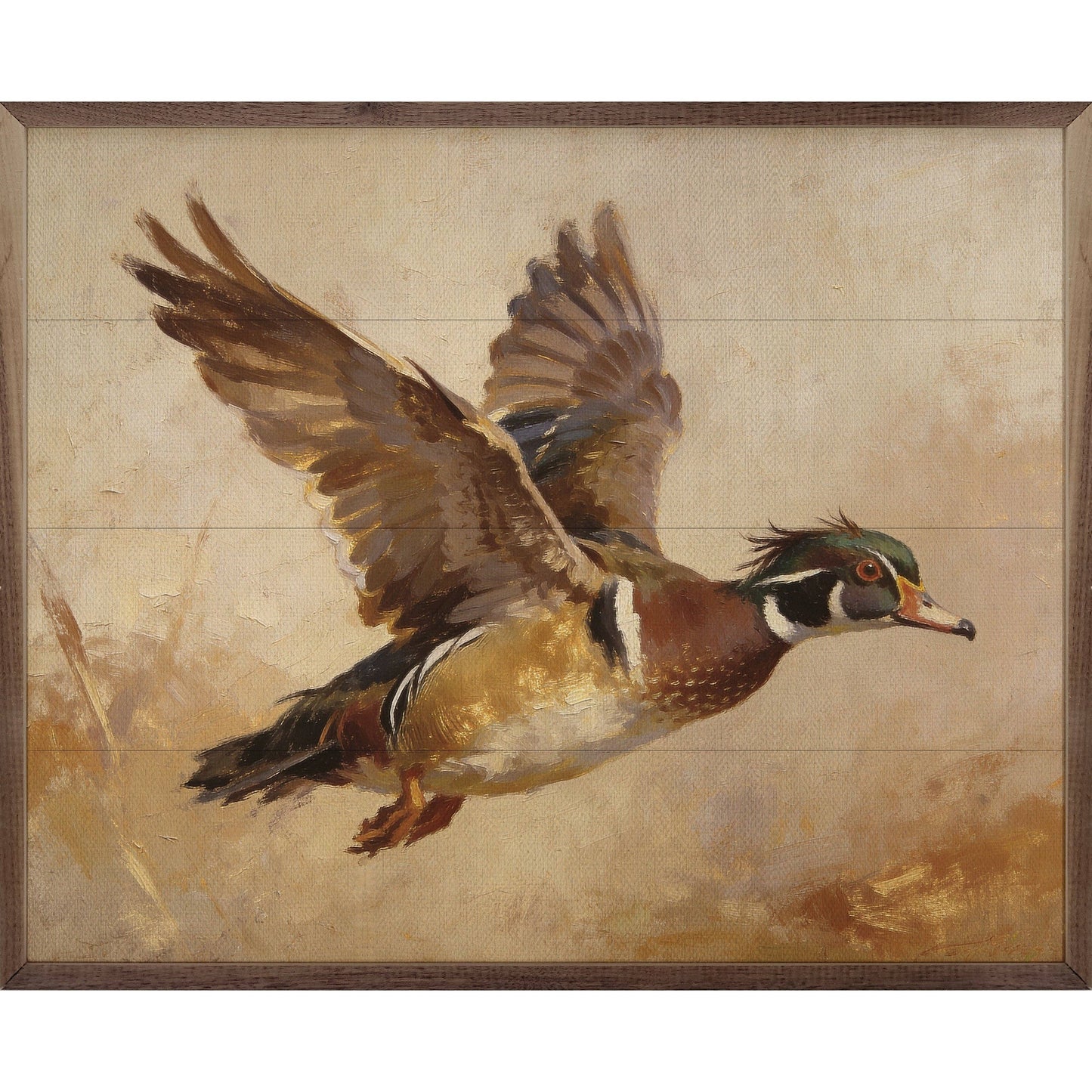 Wood Duck In Flight Autumn Light