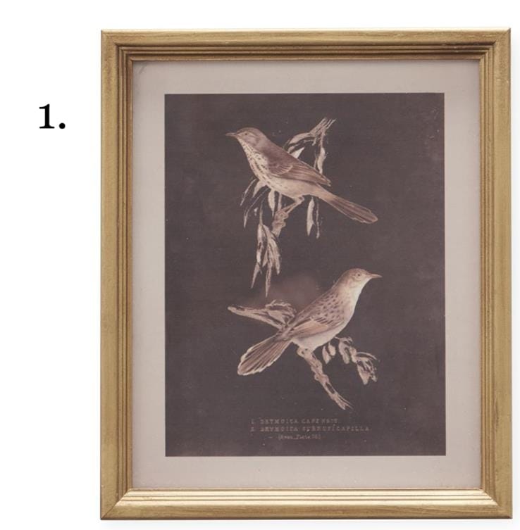 Gold wood framed vintage bird print featuring two birds on branches, dark background