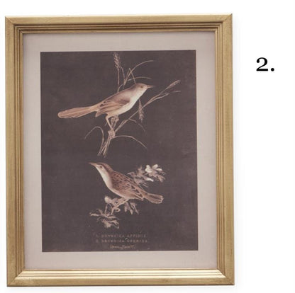 Gold framed vintage bird print featuring two brown birds on dark background