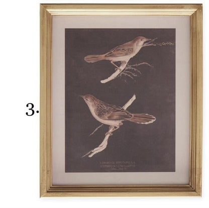 Gold framed vintage bird print featuring two brown speckled birds on branches