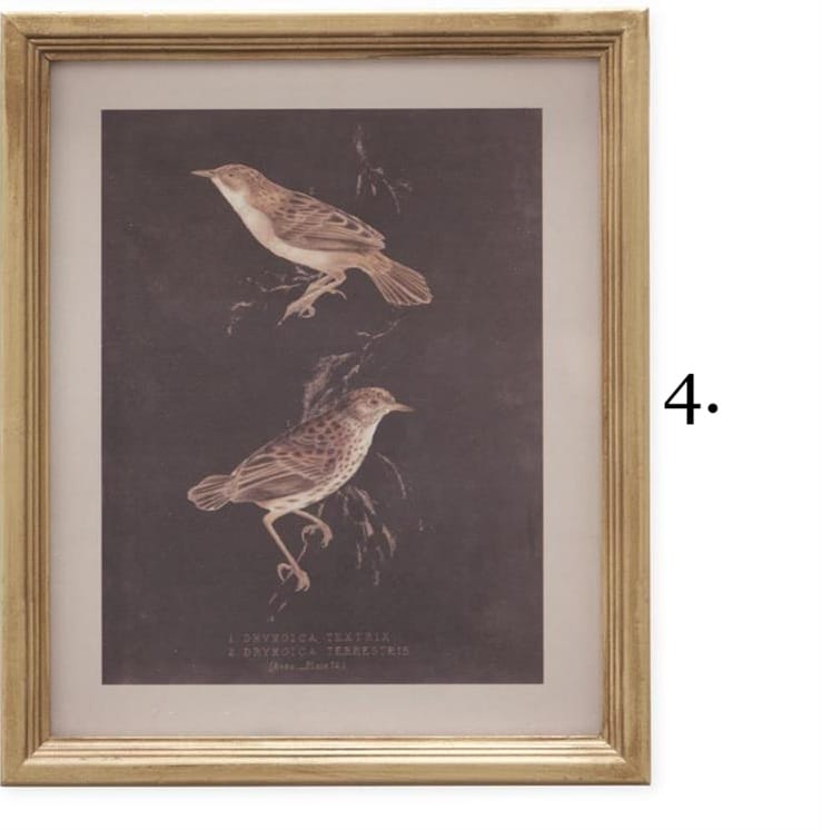 Gold framed vintage bird print featuring two brown birds on dark background
