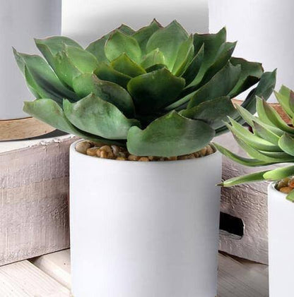 Faux Potted Succulents - 4 Types