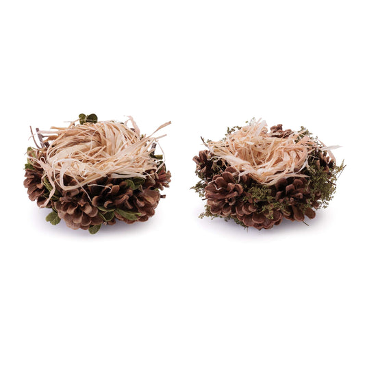 Pine Cone Nest