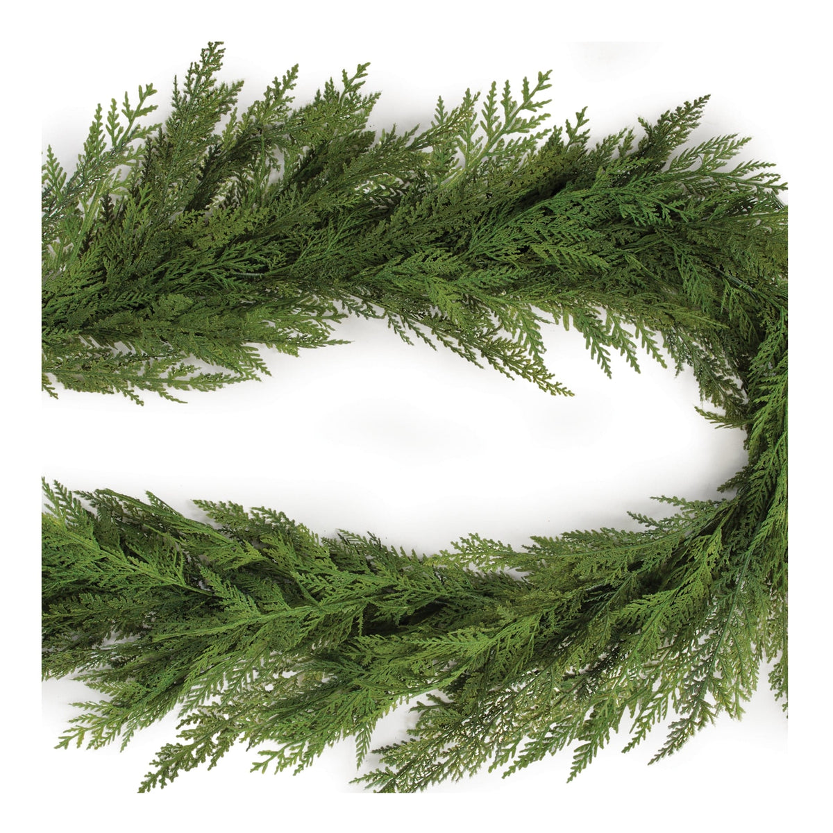 Circular cedar garland with flat scale-like foliage arranged in an oval wreath shape, top view