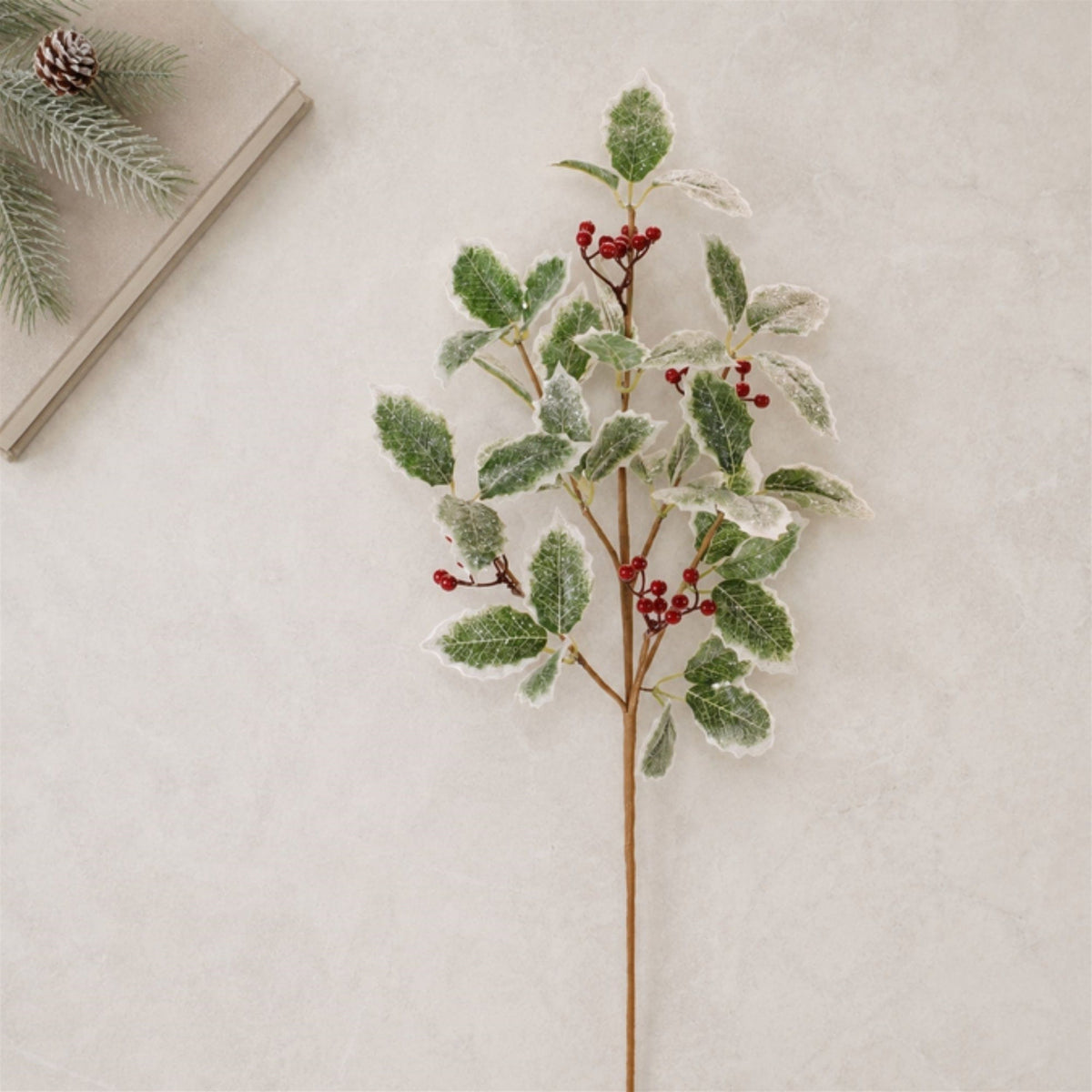 Frosted holly spray branch with green leaves, red berries, and snow-dusted edges