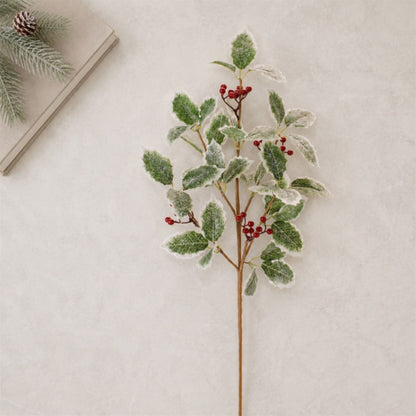Frosted holly spray branch with green leaves, red berries, and snow-dusted edges