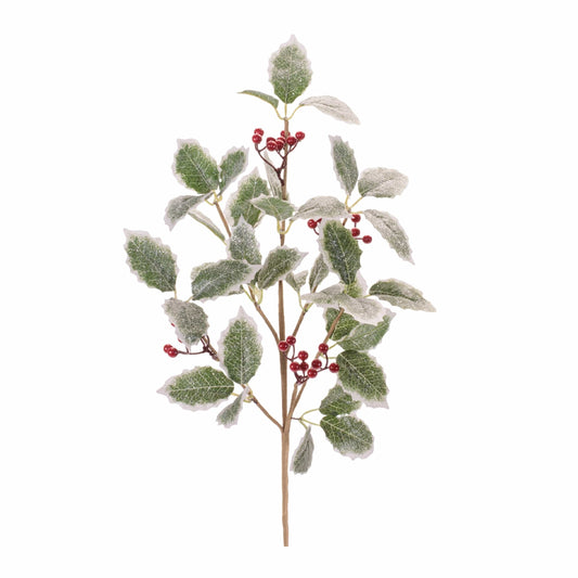 Frosted holly branch spray with green leaves, silver glitter edges, and red berries