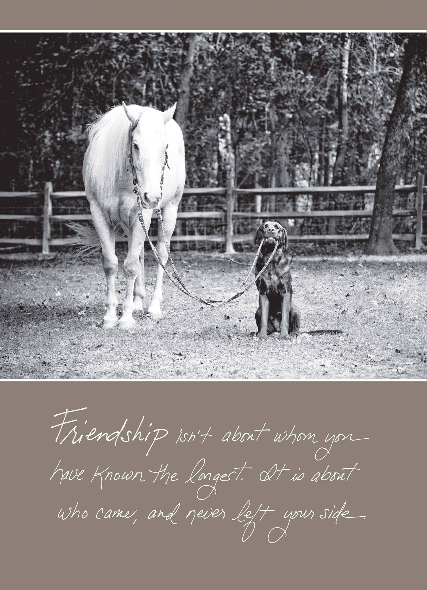 530b: Friendship Isn't About Whom You Have Known the Longest. It Is About Who Came, and Never Left Your Side.