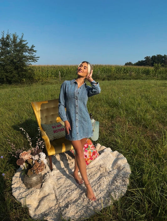 Bloomfield Seamed Stretch Denim Dress in light blue with button front and long sleeves