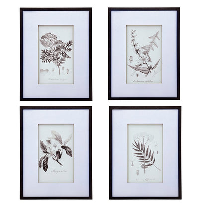 Vintage Inspired Botanical Art Print - 3 Designs
