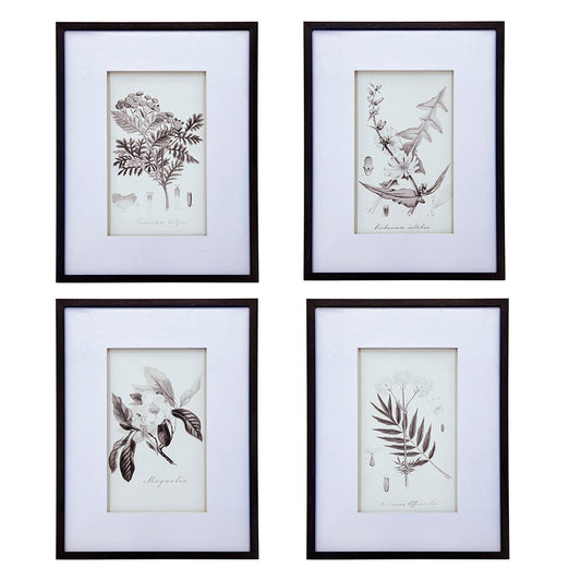 Vintage Inspired Botanical Art Print - 3 Designs