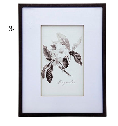 Vintage Inspired Botanical Art Print - 3 Designs