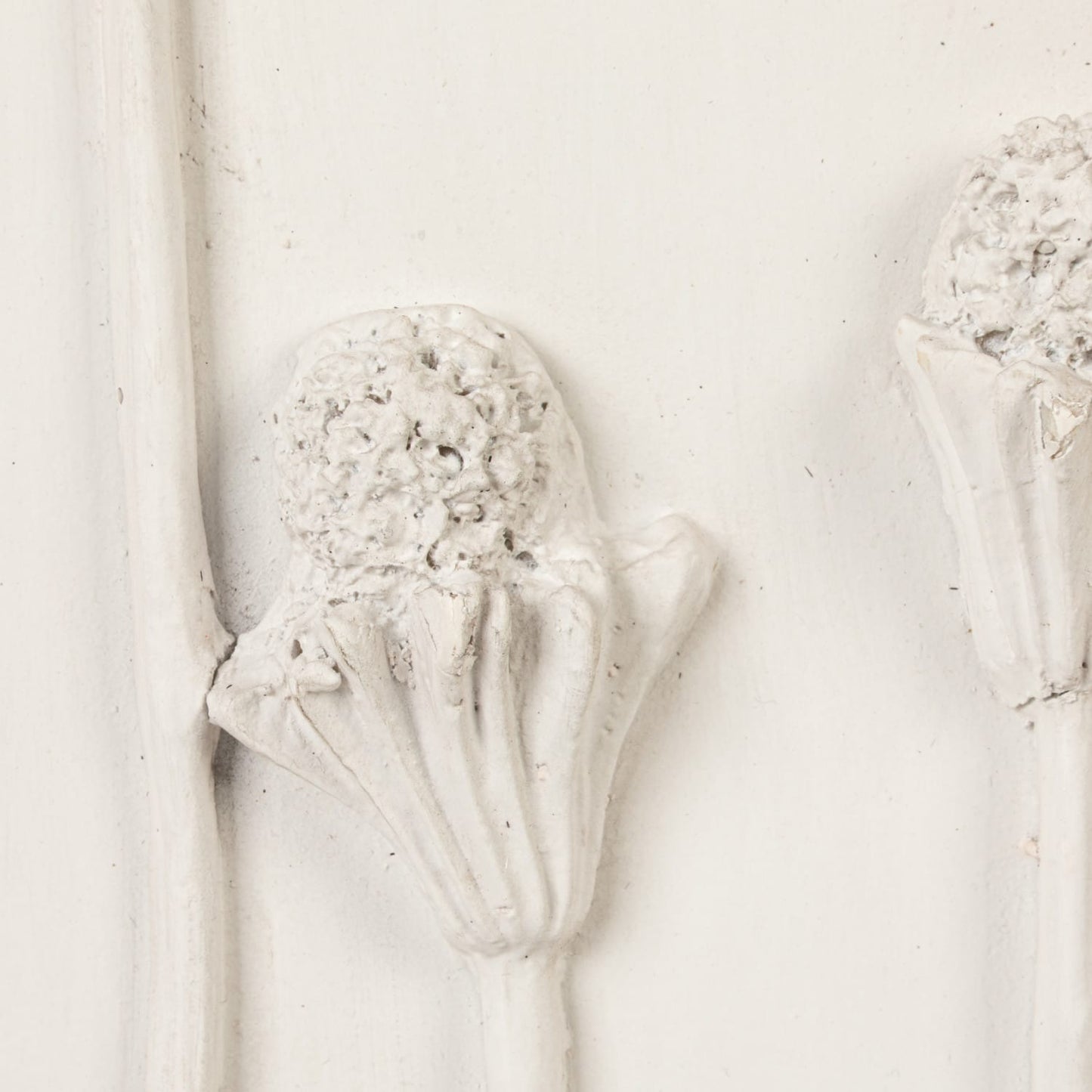 Wood Framed Wall Decor with Plaster Cast Botanical & Jute Mat, White & Brown