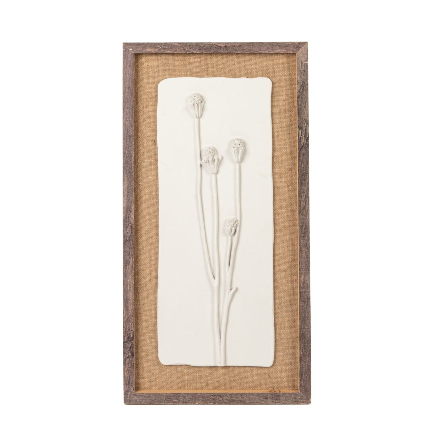 Wood Framed Wall Decor with Plaster Cast Botanical & Jute Mat, White & Brown