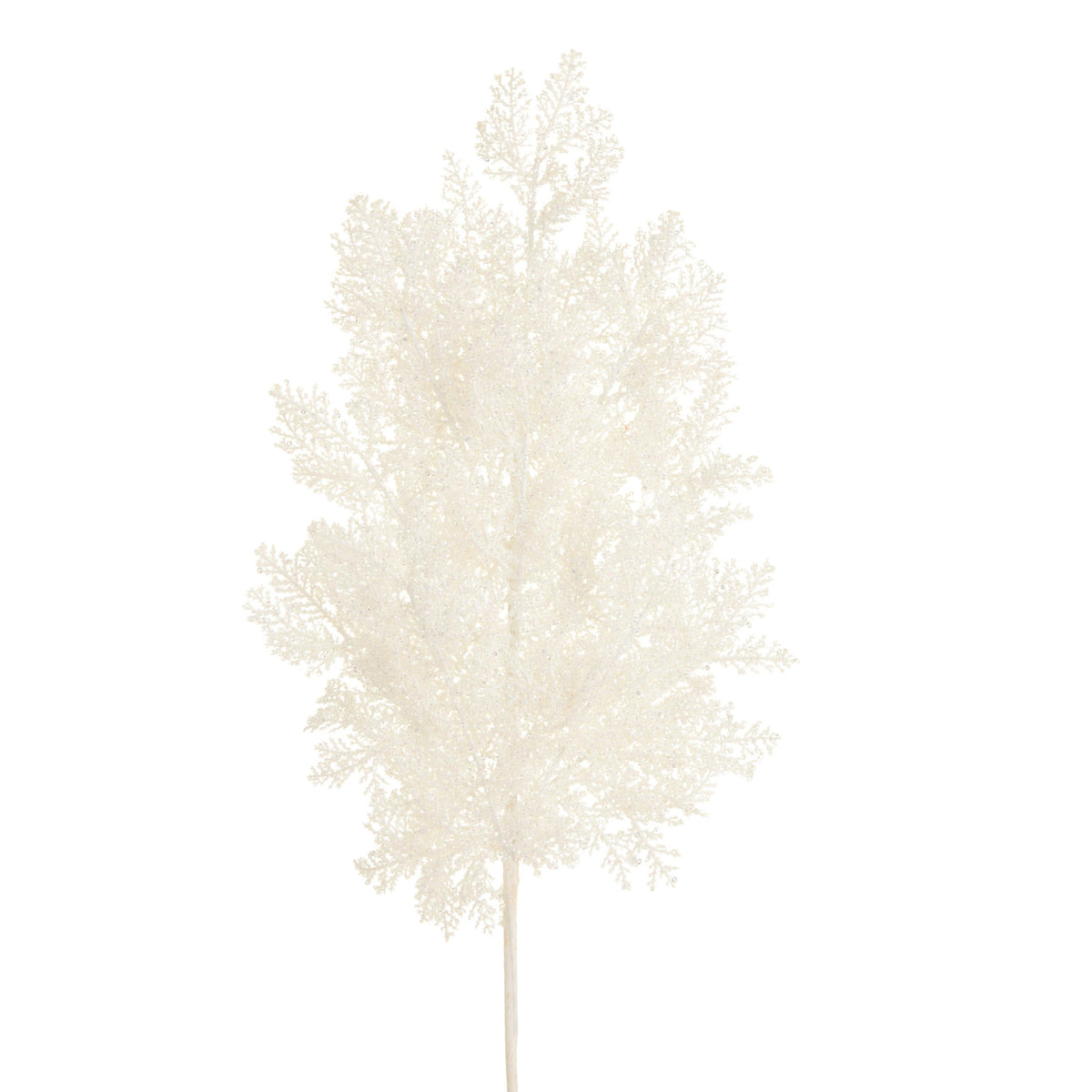 White glittered cedar spray stem with feathery frosted branches on a white stick