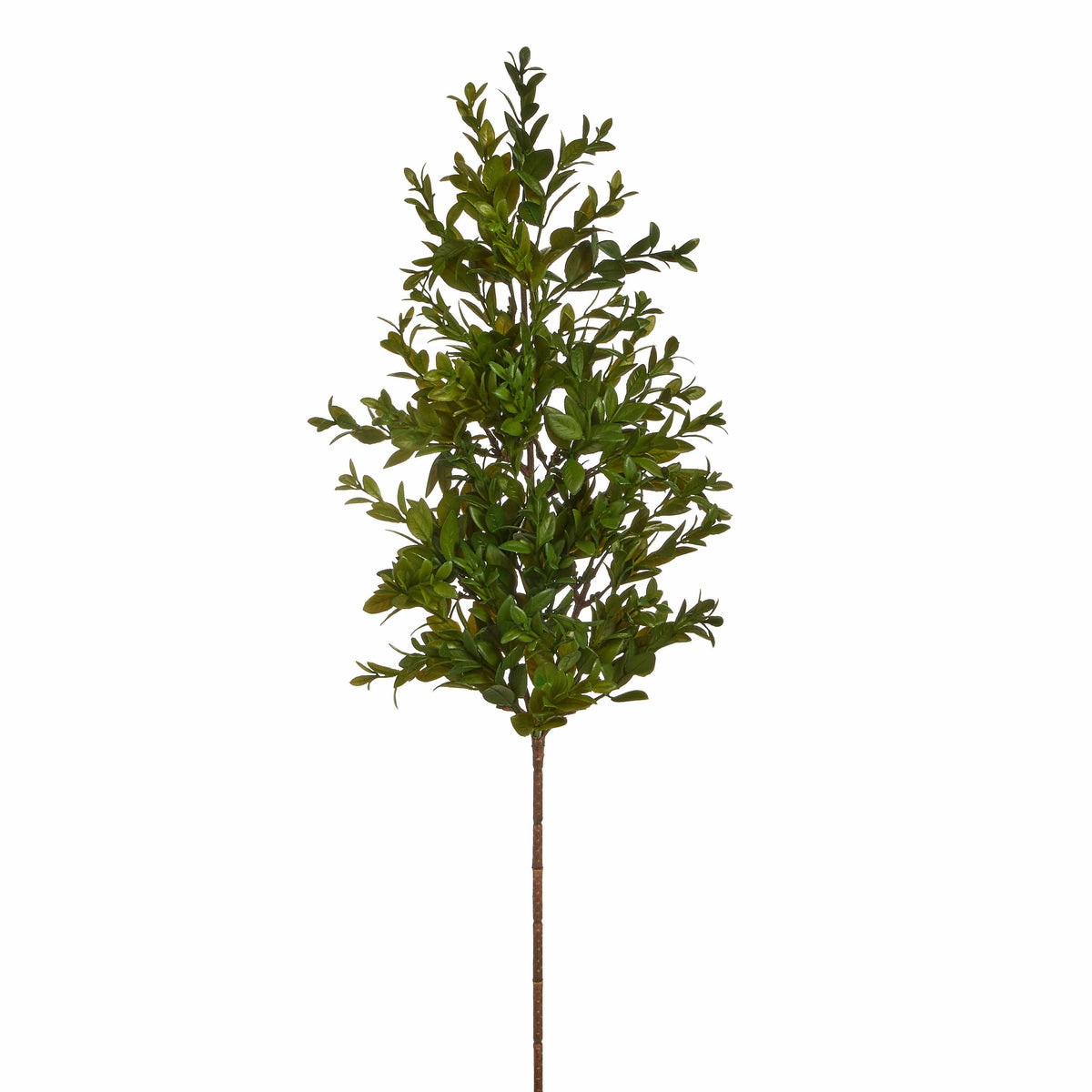 Single artificial boxwood branch with dense green foliage on a brown stem, upright view