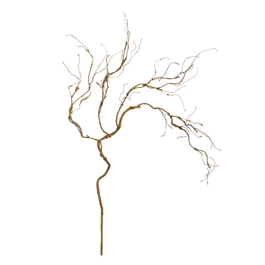 40" Curly Willow Branch