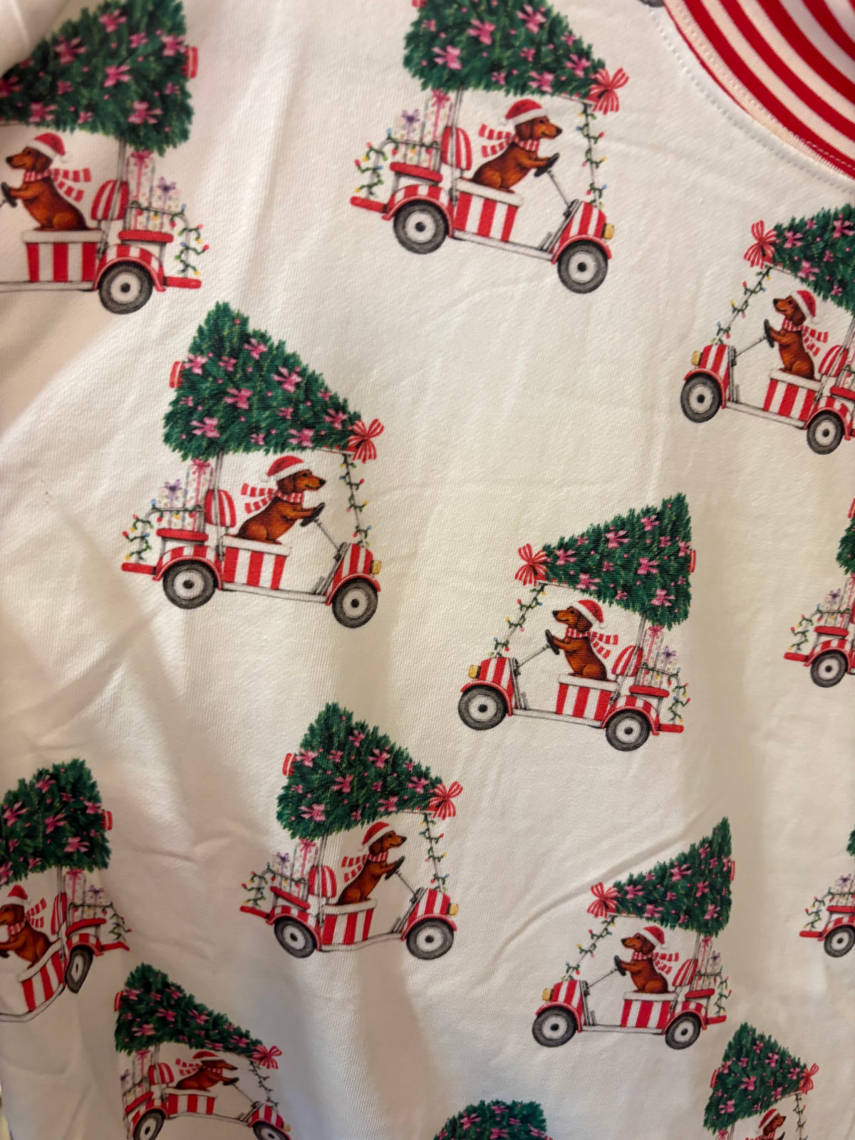 White pajama bottoms with dachshunds in Santa hats driving red striped golf carts with Christmas trees