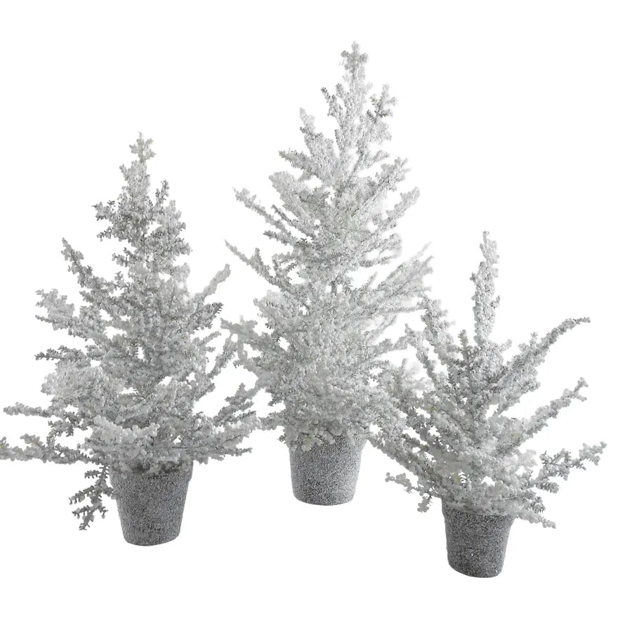 Set of three white frosted artificial juniper pine trees in gray speckled pots
