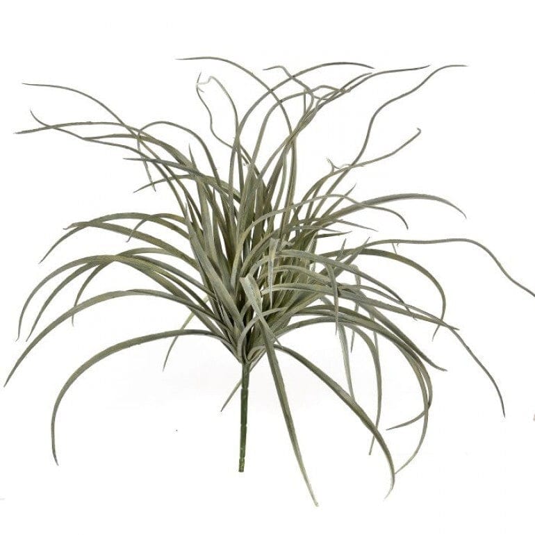 Curly Grass Bush Stem 20"