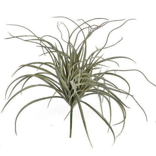 Curly Grass Bush Stem 20"