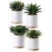 Faux Potted Succulents - 4 Types