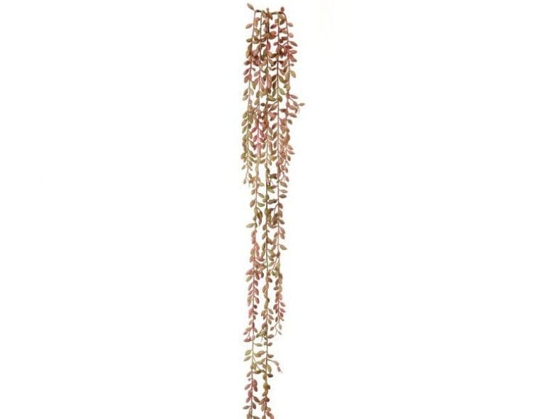35" Pink and Green Succulent Seed Vine
