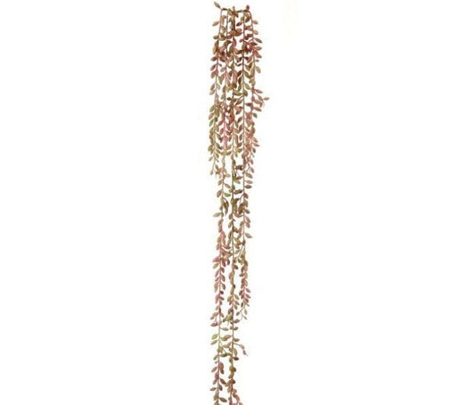35" Blush Pink Succulent Seed Vine