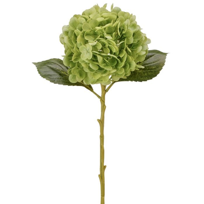 Real Touch Green Hydrangea 18.5"