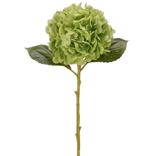 Real Touch Green Hydrangea 18.5"