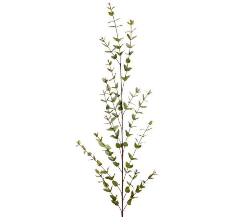 56" Natural Touch Mini Eucalyptus Branch